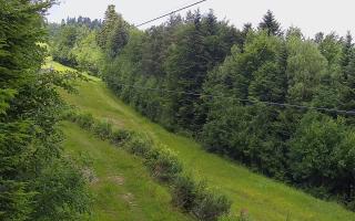 Laskowa pośredni - 17-06-2025 08:50