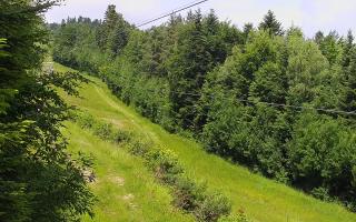 Laskowa pośredni - 17-06-2025 09:23