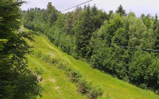 Laskowa pośredni - 17-06-2025 09:34