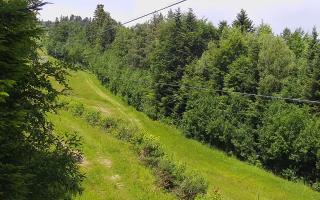 Laskowa pośredni - 17-06-2025 09:56