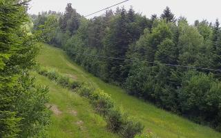 Laskowa pośredni - 17-06-2025 10:07