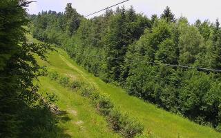 Laskowa pośredni - 17-06-2025 10:29