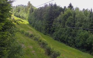 Laskowa pośredni - 17-06-2025 10:40