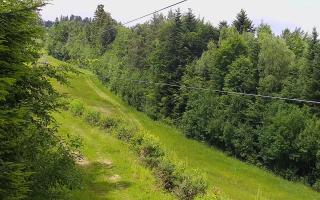 Laskowa pośredni - 17-06-2025 10:51
