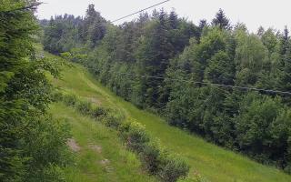 Laskowa pośredni - 17-06-2025 11:02