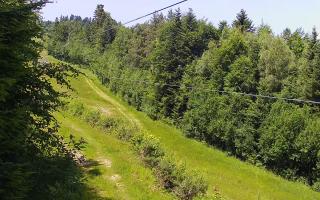 Laskowa pośredni - 18-06-2025 10:27