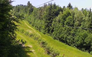 Laskowa pośredni - 18-06-2025 10:38