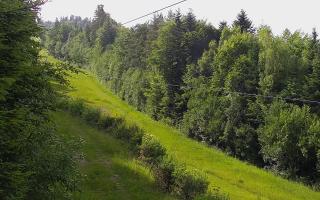 Laskowa pośredni - 18-06-2025 14:39