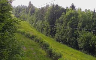 Laskowa pośredni - 18-06-2025 14:50