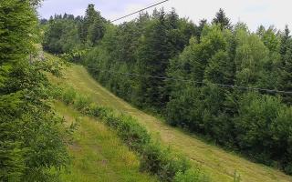 Laskowa pośredni - 13-07-2025 07:19