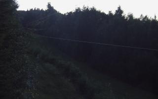 Laskowa pośredni - 31-07-2025 19:06