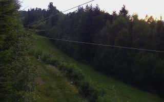 Laskowa pośredni - 01-08-2025 18:22