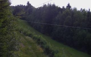 Laskowa pośredni - 01-08-2025 18:33