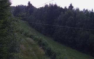 Laskowa pośredni - 01-08-2025 18:44