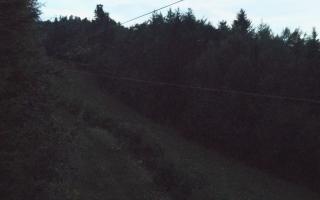 Laskowa pośredni - 01-08-2025 19:06