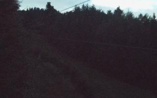 Laskowa pośredni - 01-08-2025 19:17