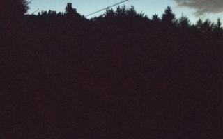 Laskowa pośredni - 01-08-2025 19:39