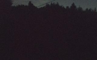 Laskowa pośredni - 01-08-2025 20:00