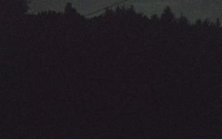 Laskowa pośredni - 01-08-2025 20:11