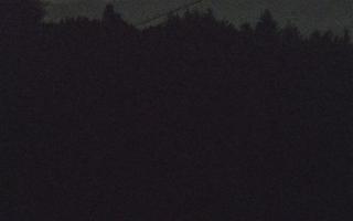 Laskowa pośredni - 01-08-2025 20:22