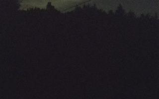 Laskowa pośredni - 01-08-2025 20:33