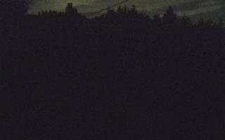 Laskowa pośredni - 01-08-2025 20:44