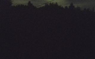 Laskowa pośredni - 01-08-2025 20:55
