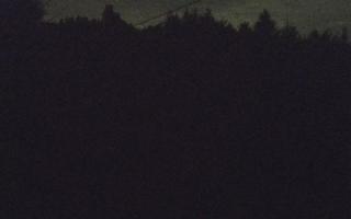 Laskowa pośredni - 01-08-2025 21:50
