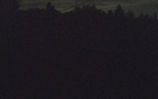 Laskowa pośredni - 01-08-2025 22:12