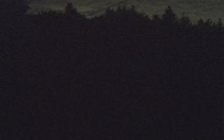 Laskowa pośredni - 01-08-2025 22:23