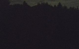 Laskowa pośredni - 01-08-2025 22:45