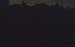 Laskowa pośredni - 01-08-2025 22:56