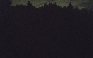 Laskowa pośredni - 01-08-2025 23:07