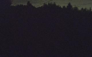 Laskowa pośredni - 01-08-2025 23:18