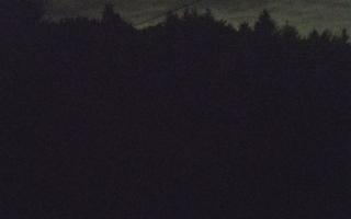 Laskowa pośredni - 01-08-2025 23:40