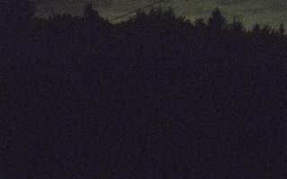 Laskowa pośredni - 01-08-2025 23:51