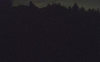 Laskowa pośredni - 02-08-2025 00:24