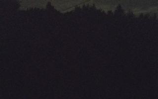 Laskowa pośredni - 02-08-2025 01:08