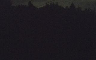 Laskowa pośredni - 02-08-2025 01:30