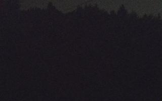 Laskowa pośredni - 02-08-2025 01:41