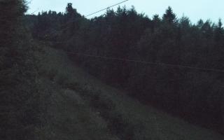 Laskowa pośredni - 02-08-2025 02:36