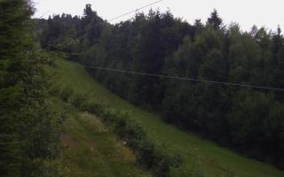 Laskowa pośredni - 02-08-2025 02:58