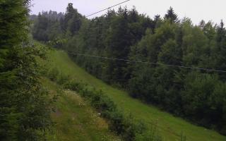 Laskowa pośredni - 02-08-2025 03:09