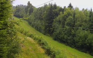Laskowa pośredni - 02-08-2025 03:20