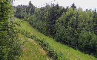 Laskowa pośredni - 02-08-2025 03:31