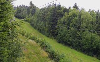 Laskowa pośredni - 02-08-2025 03:41
