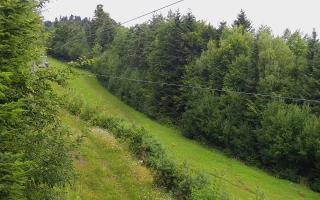 Laskowa pośredni - 02-08-2025 03:52