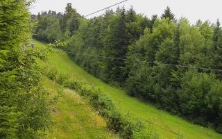 Laskowa pośredni - 02-08-2025 04:03