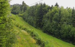 Laskowa pośredni - 02-08-2025 04:14