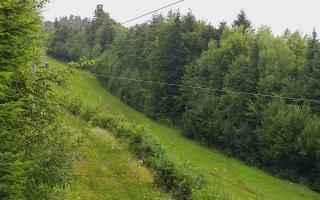 Laskowa pośredni - 02-08-2025 04:25